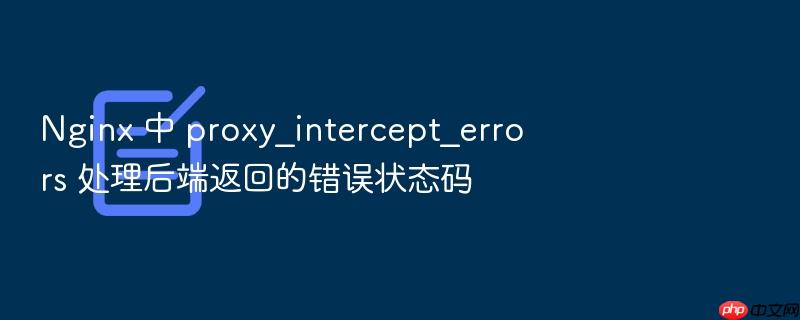 nginx 中 proxy_intercept_errors 处理后端返回的错误状态码