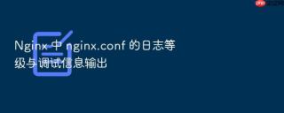 nginx 中 nginx.conf 的日志等级与调试信息输出