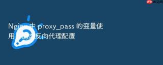 nginx 中 proxy_pass 的变量使用与动态反向代理配置