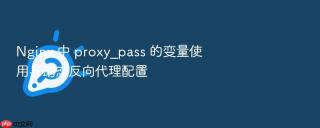 Nginx 中 proxy_pass 的变量使用与动态反向代理配置