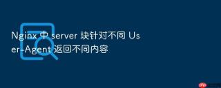 Nginx 中 server 块针对不同 User-Agent 返回不同内容