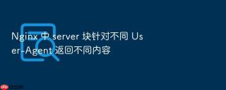 nginx 中 server 块针对不同 user-agent 返回不同内容