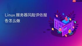 linux 服务器风险评估报告怎么做