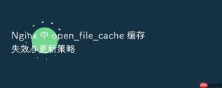 nginx 中 open_file_cache 缓存失效与更新策略