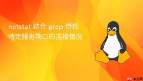 netstat 结合 grep 查找特定服务端口的连接情况