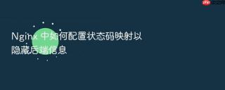 Nginx 中如何配置状态码映射以隐藏后端信息