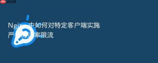 nginx 中如何对特定客户端实施严格的速率限流