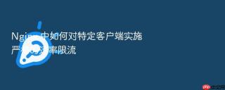 Nginx 中如何对特定客户端实施严格的速率限流