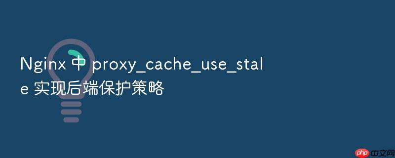 nginx 中 proxy_cache_use_stale 实现后端保护策略