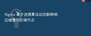 Nginx 最少连接算法动态剔除响应缓慢的后端节点