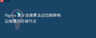 nginx 最少连接算法动态剔除响应缓慢的后端节点