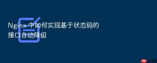 Nginx 中如何实现基于状态码的接口自动降级