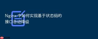 nginx 中如何实现基于状态码的接口自动降级