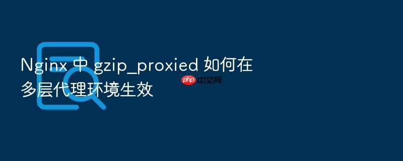 nginx 中 gzip_proxied 如何在多层代理环境生效