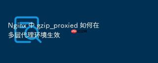 nginx 中 gzip_proxied 如何在多层代理环境生效
