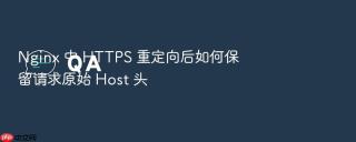 nginx 中 https 重定向后如何保留请求原始 host 头