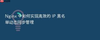 nginx 中如何实现高效的 ip 黑名单动态同步管理