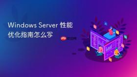 Windows Server 性能优化指南怎么写