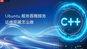 ubuntu 服务器微服务运维搭建怎么做