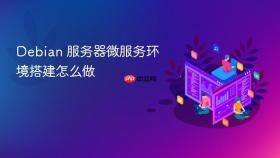 debian 服务器微服务环境搭建怎么做