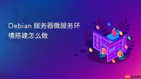 Debian 服务器微服务环境搭建怎么做