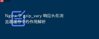 nginx 中 gzip_vary 响应头在浏览器缓存中的作用解析