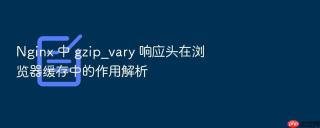 Nginx 中 gzip_vary 响应头在浏览器缓存中的作用解析