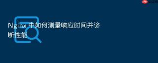 nginx 中如何测量响应时间并诊断性能