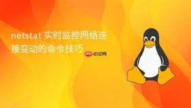 netstat 实时监控网络连接变动的命令技巧
