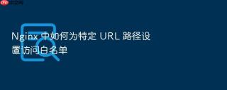 Nginx 中如何为特定 URL 路径设置访问白名单