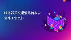 服务器系统漏洞修复与安全补丁怎么打
