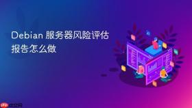 debian 服务器风险评估报告怎么做