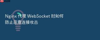 nginx 代理 websocket 时如何防止恶意连接攻击