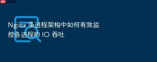 nginx 多进程架构中如何有效监控各进程的 io 吞吐