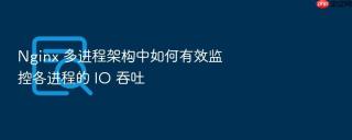 Nginx 多进程架构中如何有效监控各进程的 IO 吞吐