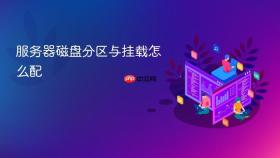 服务器磁盘分区与挂载怎么配