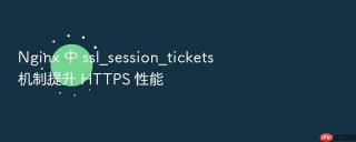 Nginx 中 ssl_session_tickets 机制提升 HTTPS 性能