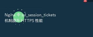 nginx 中 ssl_session_tickets 机制提升 https 性能