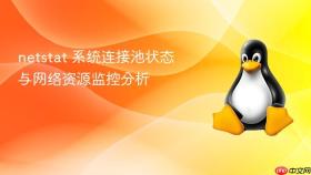 netstat 系统连接池状态与网络资源监控分析