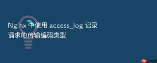 nginx 中使用 access_log 记录请求的传输编码类型