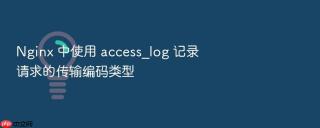 Nginx 中使用 access_log 记录请求的传输编码类型