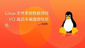 linux 文件系统性能评估:i/o 延迟与磁盘吞吐优化
