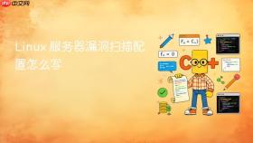 linux 服务器漏洞扫描配置怎么写