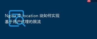 nginx 中 location 块如何实现基于用户代理的限流