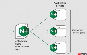 nginx 为什么使用 alias 指令指向绝对路径时仍然报 404 错误