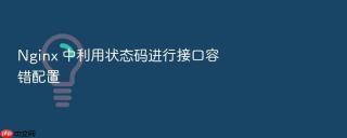 Nginx 中利用状态码进行接口容错配置