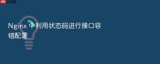 nginx 中利用状态码进行接口容错配置
