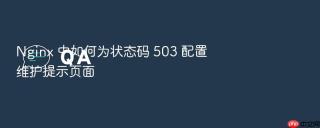 Nginx 中如何为状态码 503 配置维护提示页面