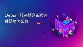 debian 服务器分布式运维搭建怎么做