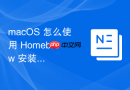 macOS 怎么使用 Homebrew 安装开发常用的各类字体文件